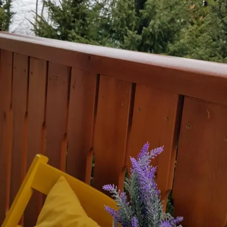 Goca Lejlighed Zlatibor