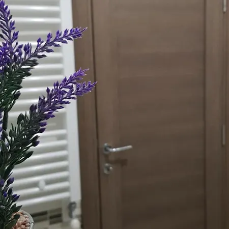 Lejlighed Goca Zlatibor