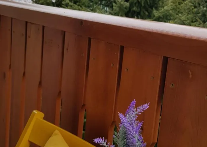 Goca Apartman Zlatibor