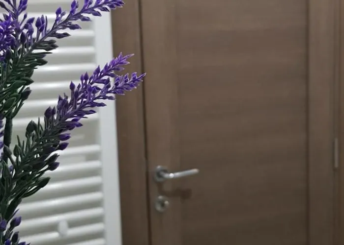 Apartman Goca Zlatibor