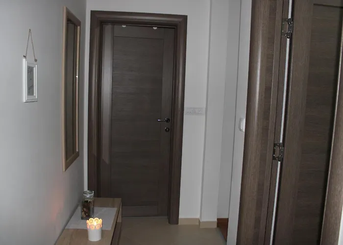 Goca * 兹拉蒂博尔